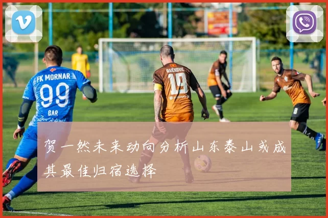 贺一然未来动向分析山东泰山或成其最佳归宿选择