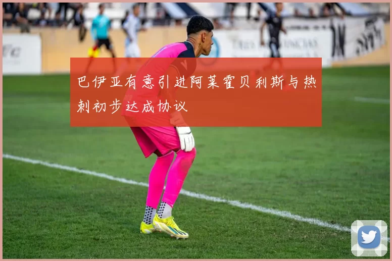 巴伊亚有意引进阿莱霍贝利斯与热刺初步达成协议